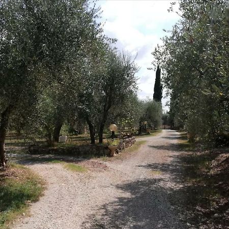 Nel Chianti Lungo La Francigena Apartment Colle di Val d'Elsa Exterior photo