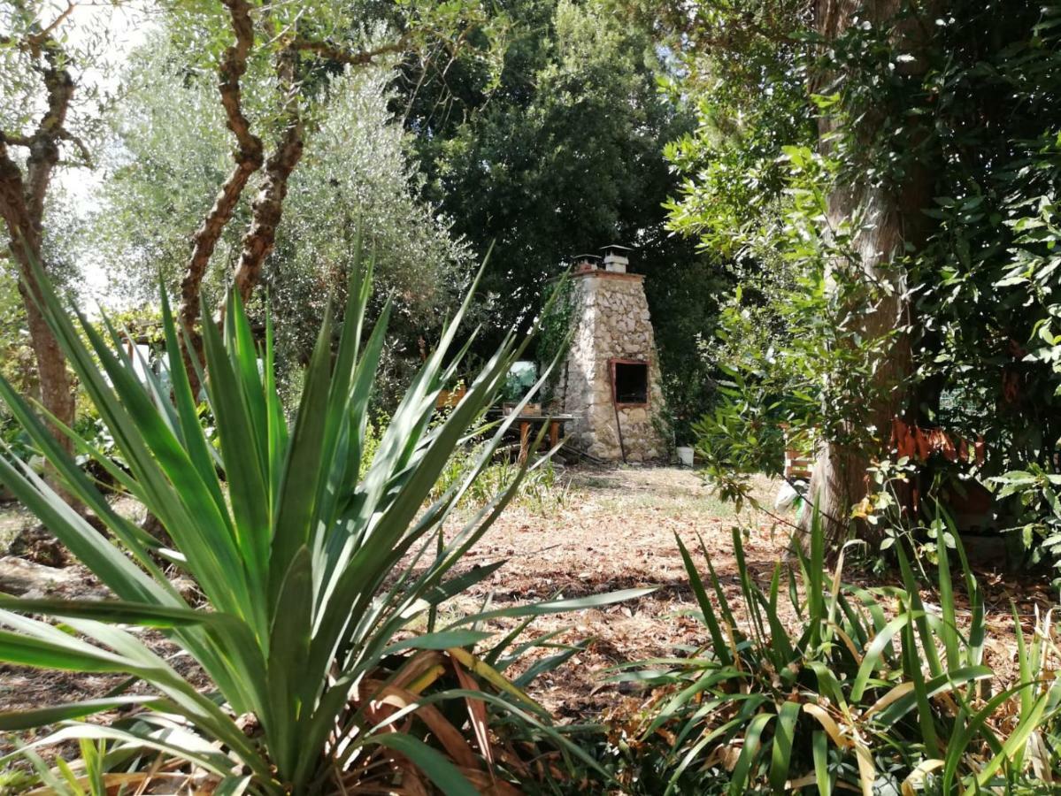 Nel Chianti Lungo La Francigena Apartment Colle di Val d'Elsa Exterior photo