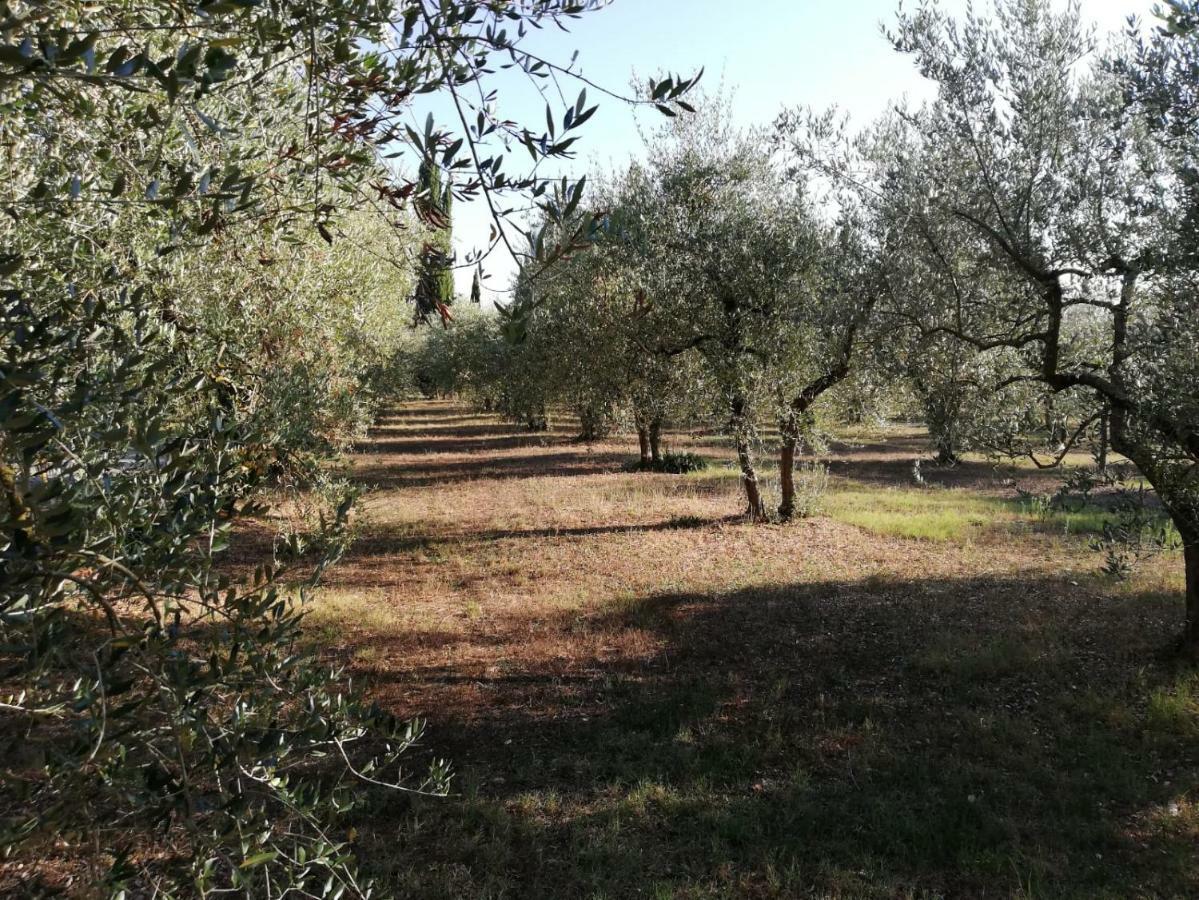 Nel Chianti Lungo La Francigena Apartment Colle di Val d'Elsa Exterior photo