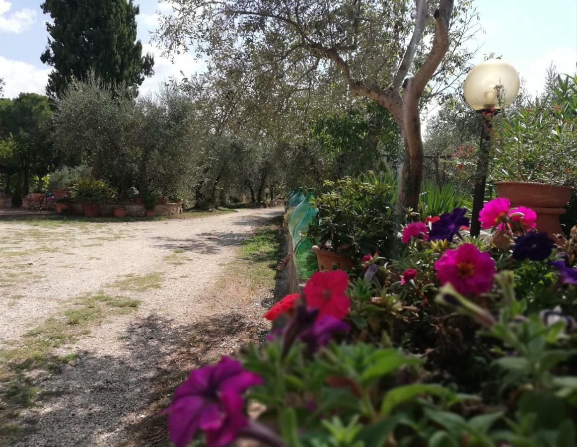 Nel Chianti Lungo La Francigena Apartment Colle di Val d'Elsa Exterior photo