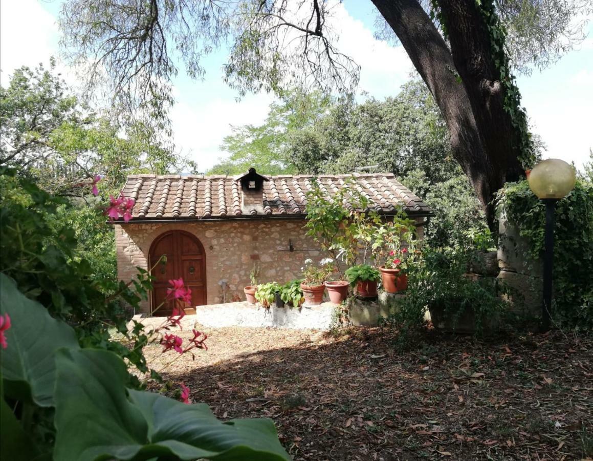 Nel Chianti Lungo La Francigena Apartment Colle di Val d'Elsa Exterior photo