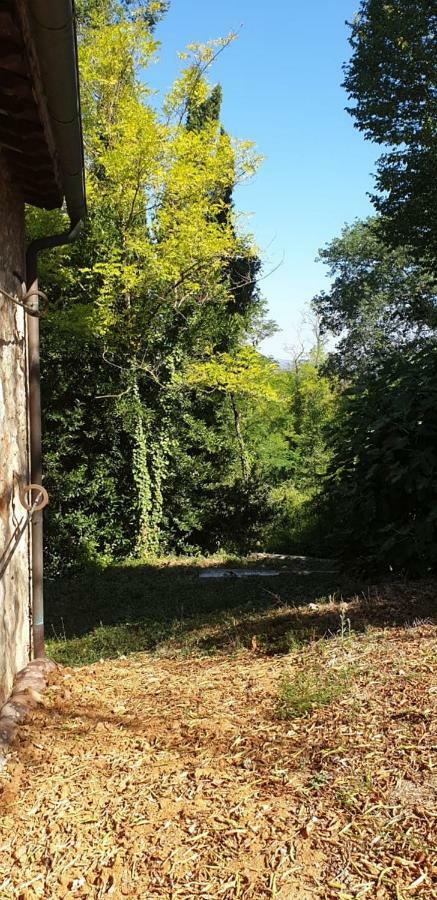 Nel Chianti Lungo La Francigena Apartment Colle di Val d'Elsa Exterior photo