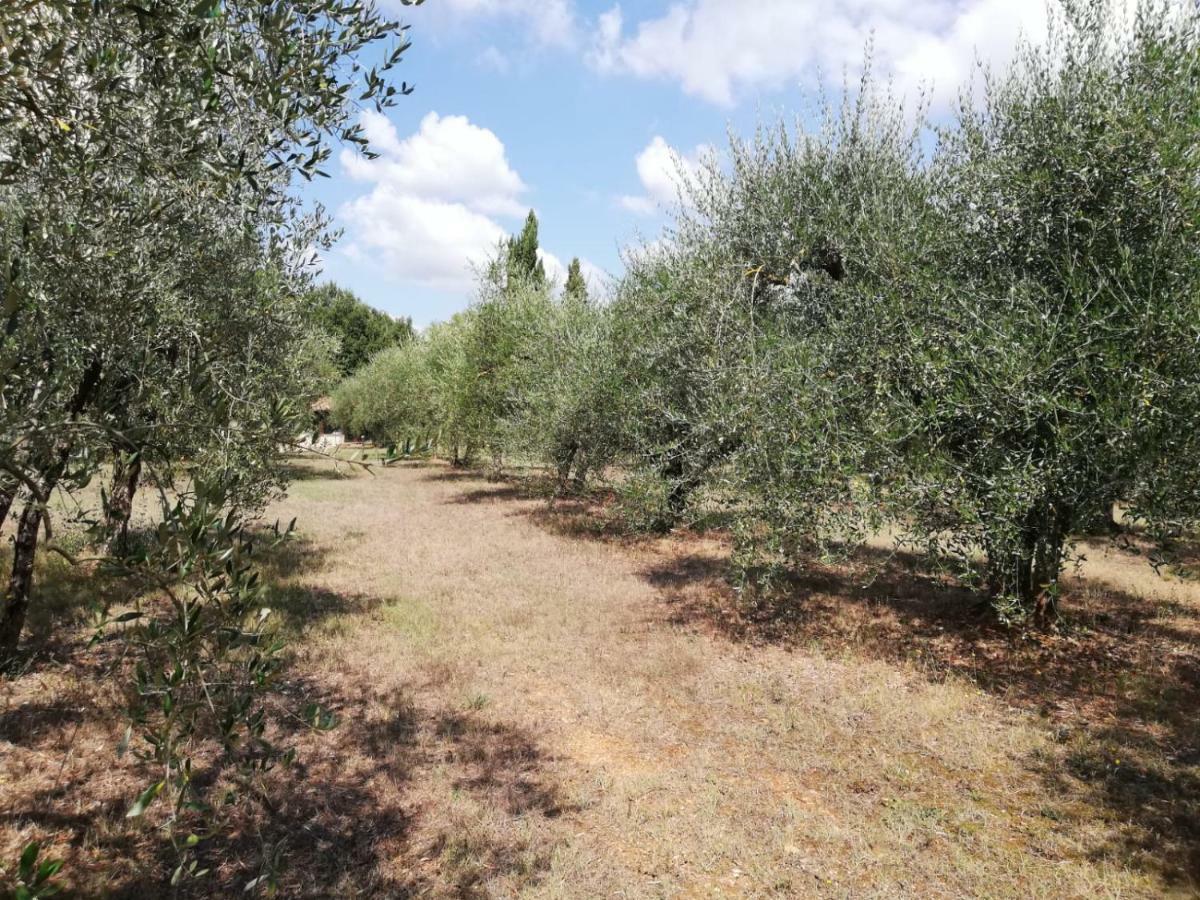 Nel Chianti Lungo La Francigena Apartment Colle di Val d'Elsa Exterior photo