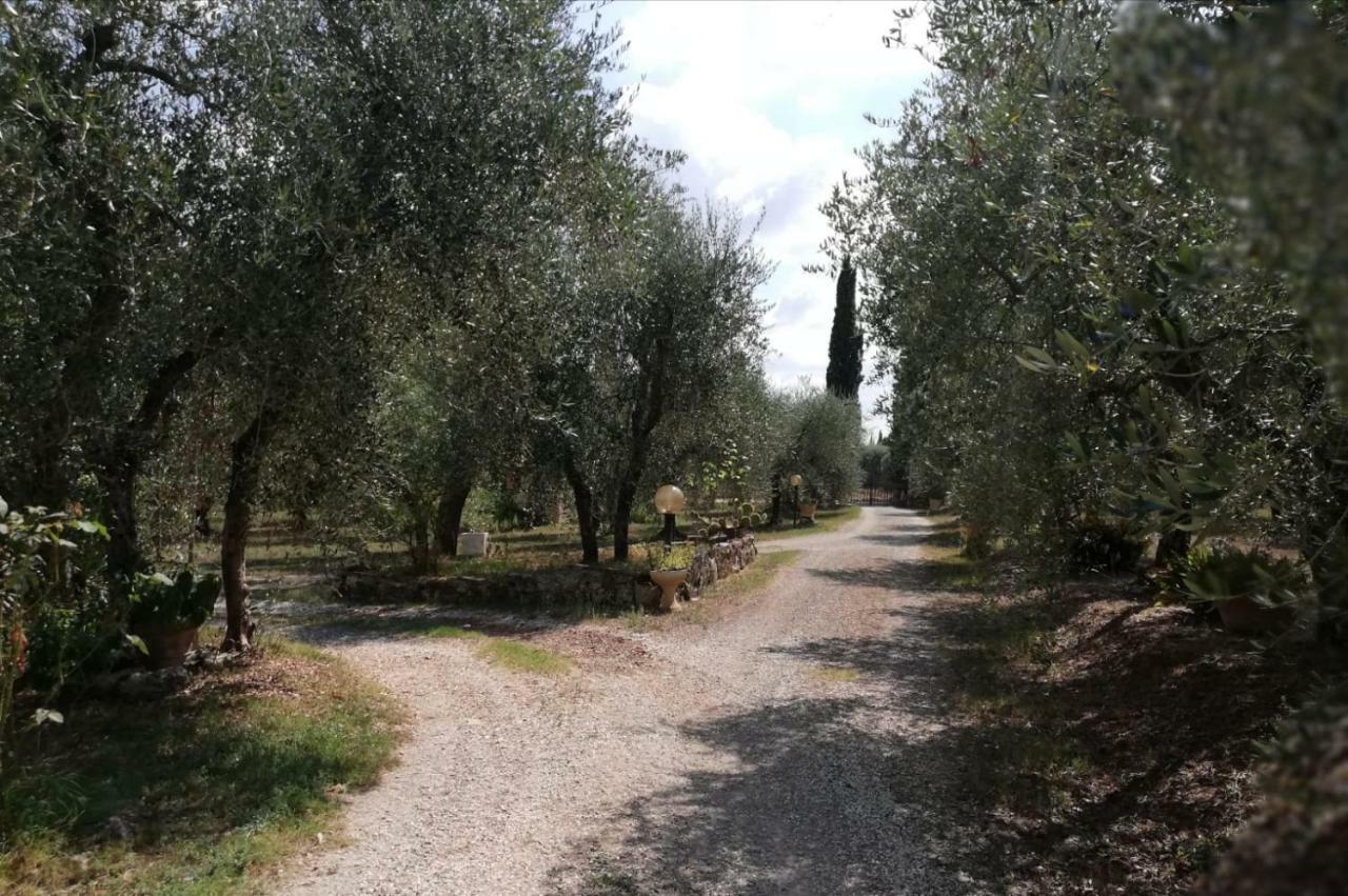 Nel Chianti Lungo La Francigena Apartment Colle di Val d'Elsa Exterior photo