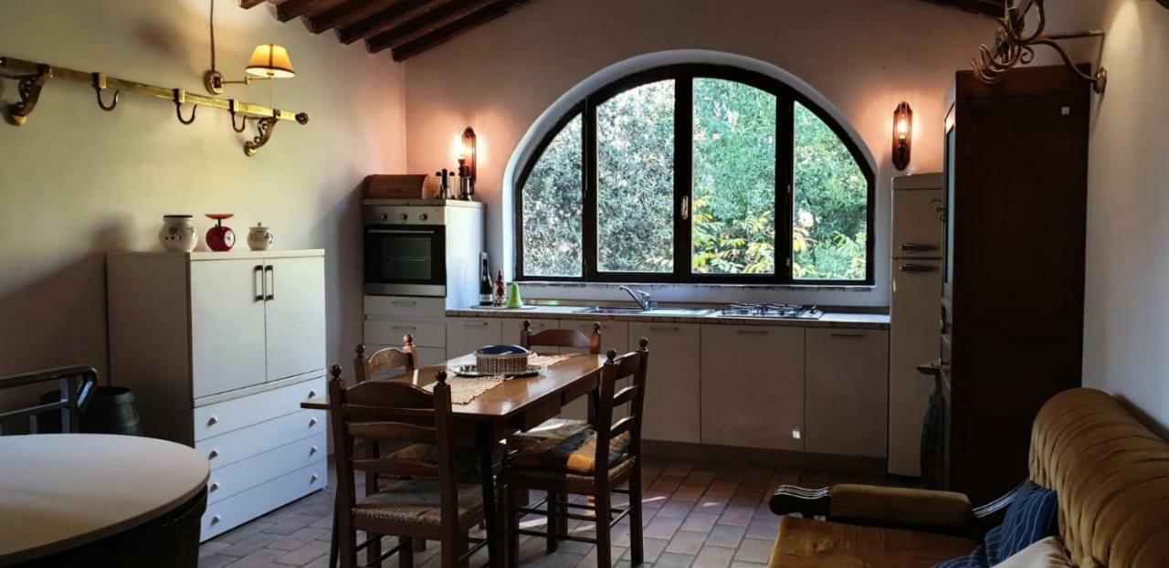 Nel Chianti Lungo La Francigena Apartment Colle di Val d'Elsa Exterior photo